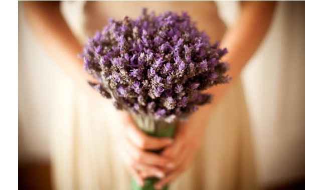 Flores e mais flores - 1