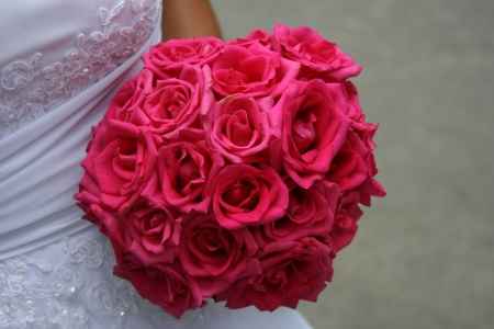 Buque Rosa