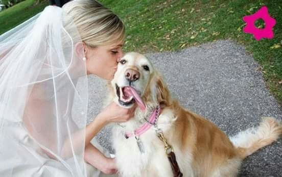 Casamento com pets *-* - 3