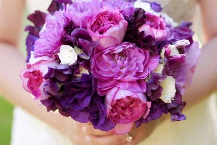 Buque 