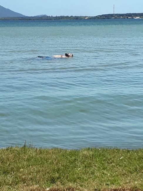 O boy na lagoa