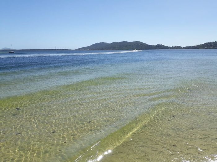 Lagoa da conceição... agua limpinha