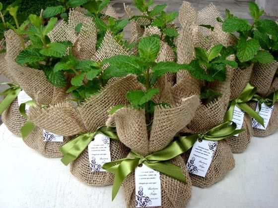 Modelo de Lembranças