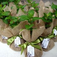 Modelo de Lembranças