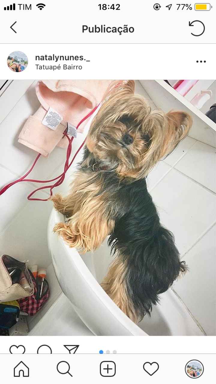 Filho de 4patas - 1