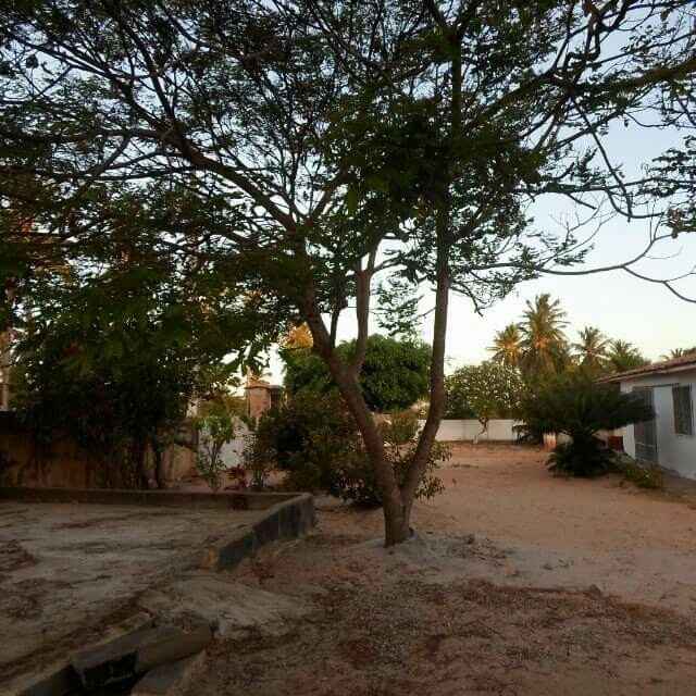 Casar em casa?? prós x contras - 1