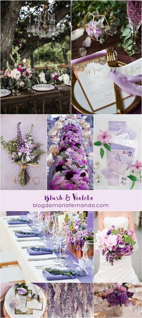 Blush e Violeta