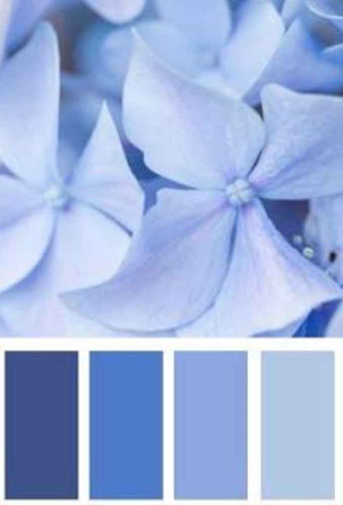 Help Noivinhas!!! Onde compro tecido azul serenity em Sp? - 1
