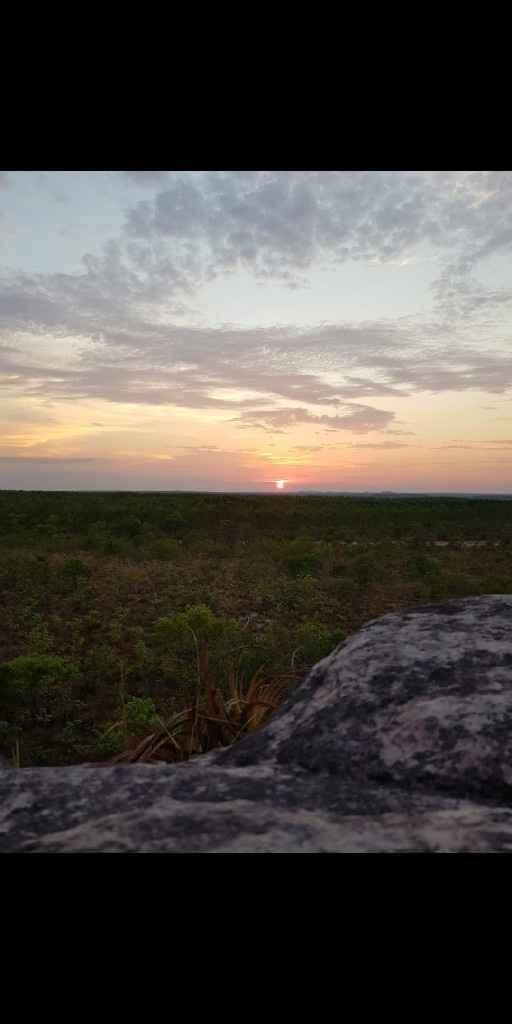 Lua de mel - 2