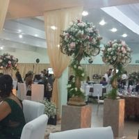 Casamento do primo - 3