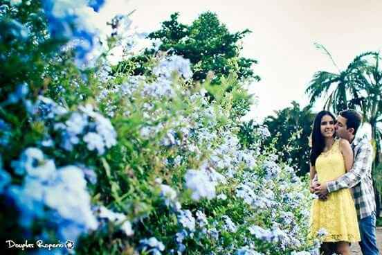 Meu ensaio pré wedding em holambra!!  #vemver - 16