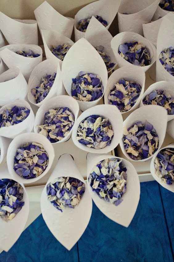 lavanda