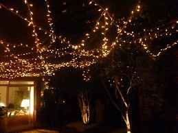 luzes