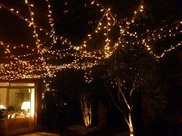 luzes