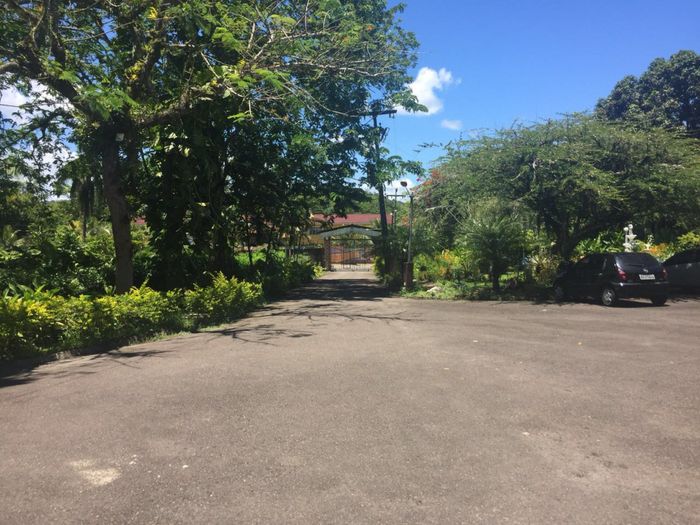 Alguém de ilhéus - 3