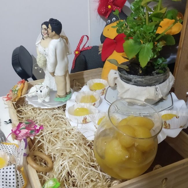 Bodas de pintinhos - 10 meses 8