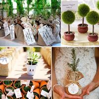 lembrancinha ecologica