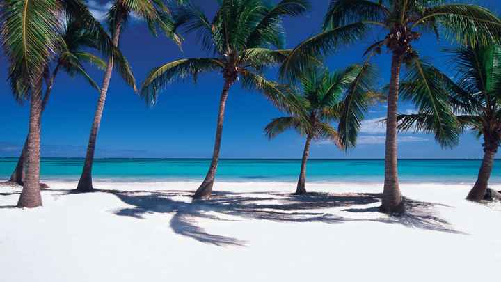 Fechamos a Lua de Mel - Punta Cana ❤ - 2