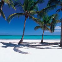 Fechamos a Lua de Mel - Punta Cana ❤ - 2