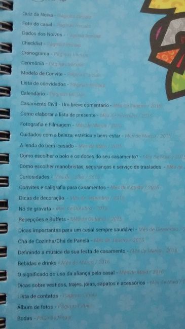 Meninas olha que tudo... a agenda da noiva. - 5