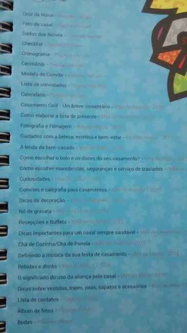 Meninas olha que tudo... a agenda da noiva. - 3