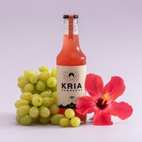 Bebidas diferentes nao alcoolicas - 1
