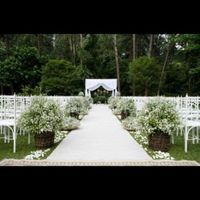 Flores artificiais ou de verdade? - 2