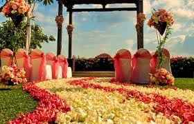 Tapete de flores