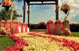 Tapete de flores
