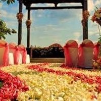 Tapete de flores
