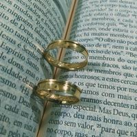 Alianças de ouro - 1