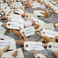 Casamento na praia.alguém aí quer? - 5