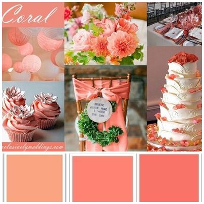 Paleta pêssego e coral - 6