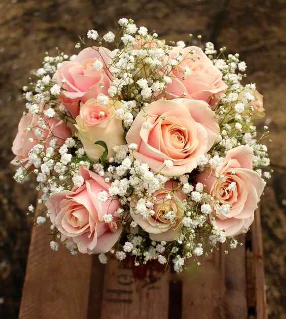 rosas com mosquitinhos