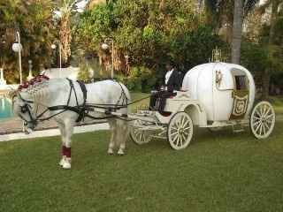 Sonho de Princesa