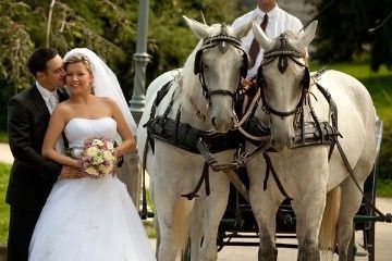 Sonho de Princesa