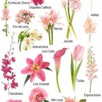 Ideias de Flores 
