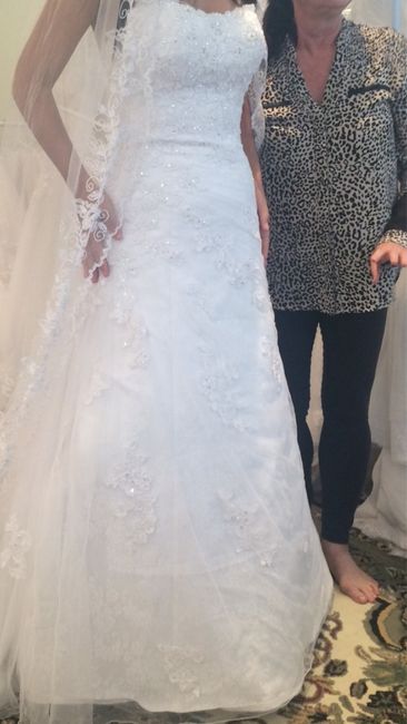 Fechei o vestido e não gostei - 1