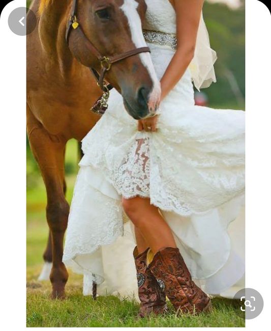 Noiva country (botas) - inspirações - 4