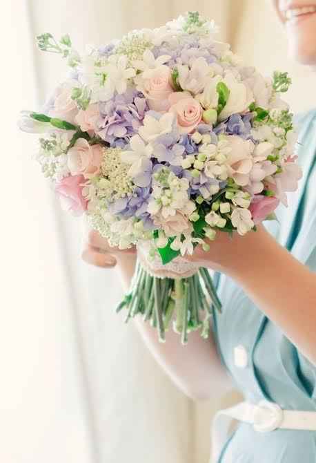 Flores - 1