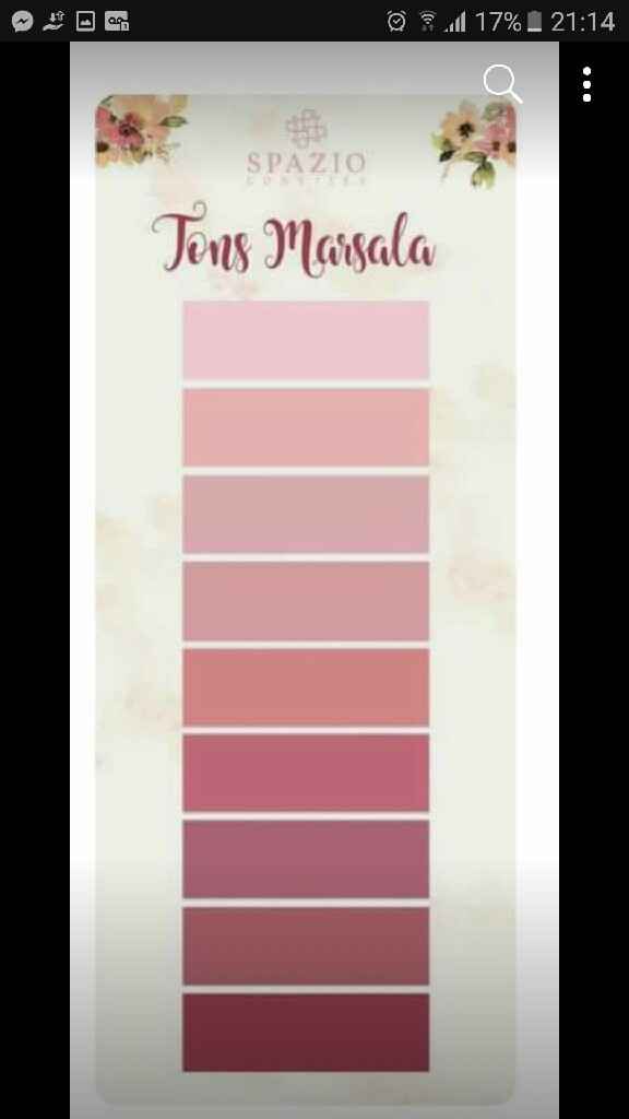  Paleta Marsala, Rosa Gold e blush - 1
