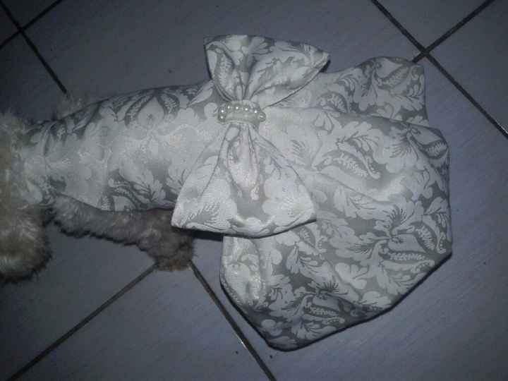 Roupa da minha filha de 4 patas - 1
