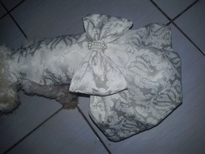 Roupa da minha filha de 4 patas - 1
