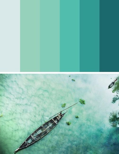 PALETA DE CORES 