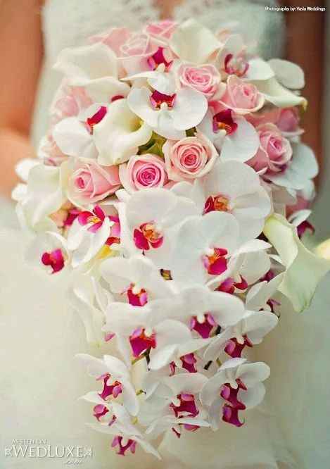 SEGUNDA OPÇÃO? ORQUÍDEA, ROSAS PEQUENAS E COPO DE LEITE