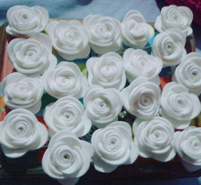 flores
