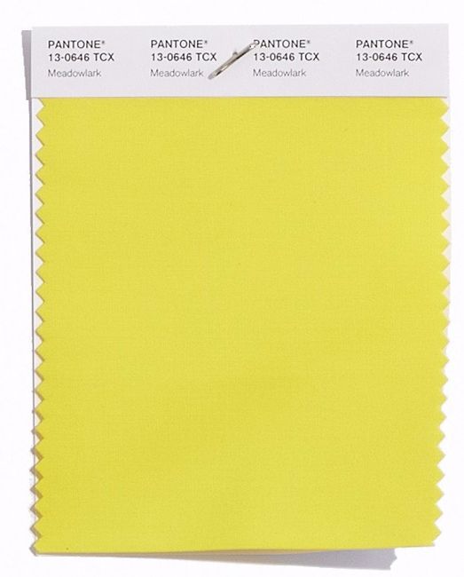 Meadowlark 13-0646