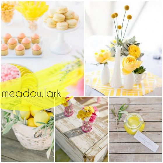 Meadowlark 13-0646