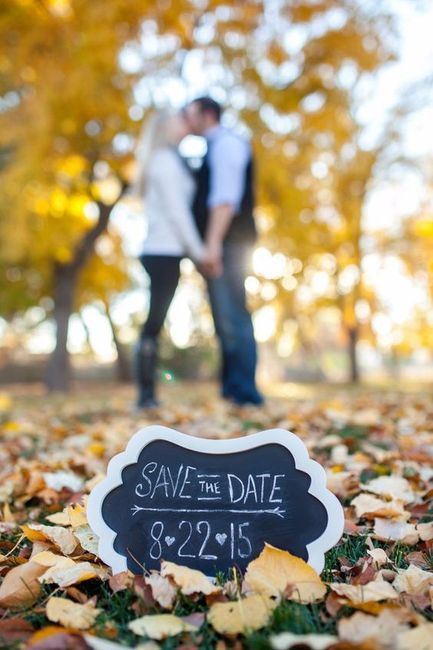 Save The Sate