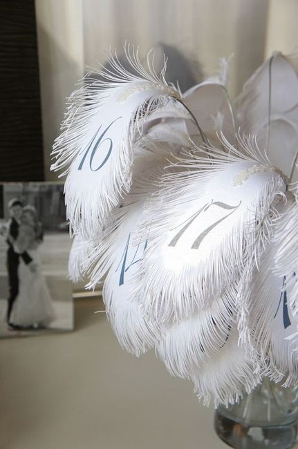 Bodas de plumas